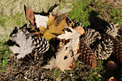 JEUX D’AUTOMNE