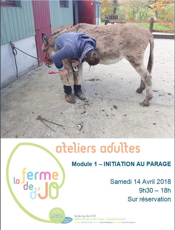 Ateliers adultes